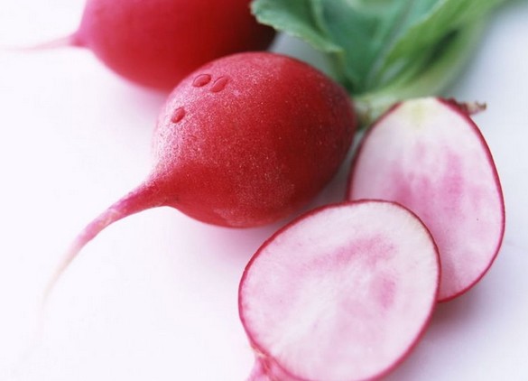 French Breakfast Radish seed Raphanus sativus 